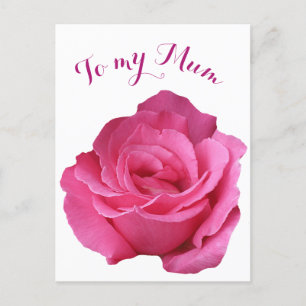 Happy Mother's Day Mum pretty hot pink rose floral Postcard