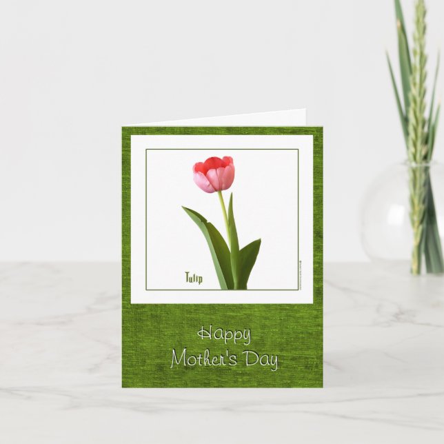 Happy Mother's Day - One Pink Tulip Card (Front)