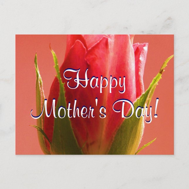 Happy Mother's Day Pink Rose I Postcard (Front)
