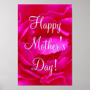 Happy Mother's Day Pink Rose I Poster