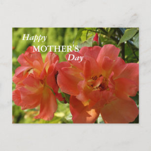 Happy Mother's day Pink Roses Postcard