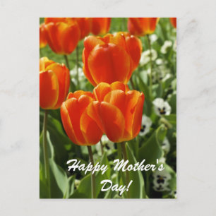 Happy Mother's Day Postcard