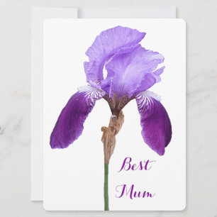 Happy Mother's Day pretty purple iris floral 4 mum Holiday Card