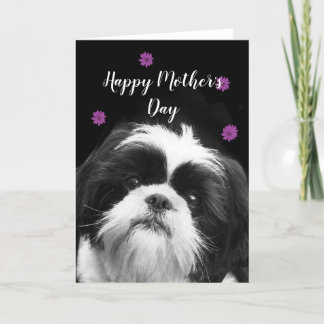 Happy Mother's Day Shih Tzu greeting card