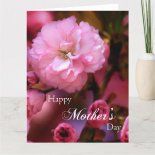 Happy Mothers Day Spring Pink Cherry Blossoms Card