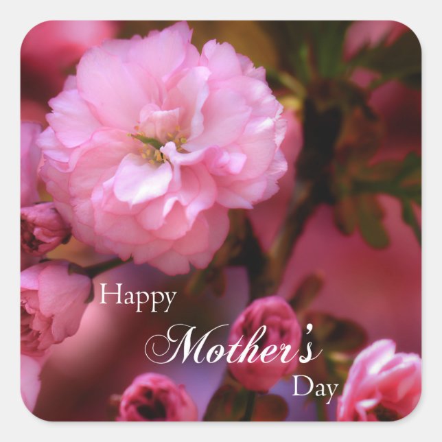 Happy Mothers Day Spring Pink Cherry Blossoms Square Sticker (Front)