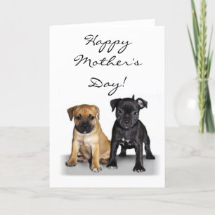 Happy Mother's Day Staffie puppies greeting card