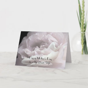 Happy Mother's Day to Wife, Rose Petals Floral Card