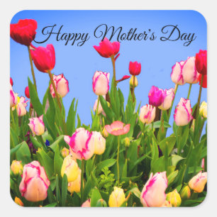 Happy Mother's Day Various Tulips #3 Stickers