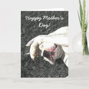 Happy Mother's Day White boxer greeting card