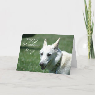 Happy Mother's Day White German Shepherd card