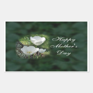 Happy Mother's Day White Tulips Sticker