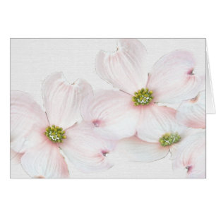 Happy Name Day-crabapple blossoms