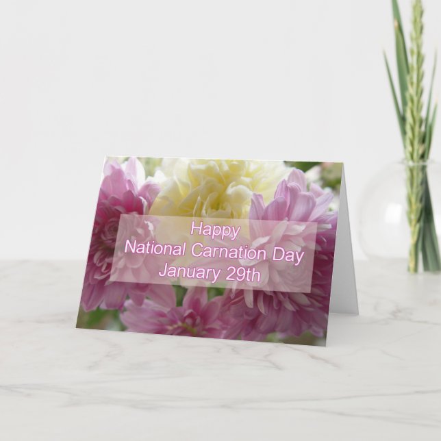 Happy National Carnation Day Blank Card (Front)