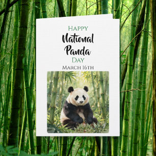 Happy National Panda Day   March 16th Card