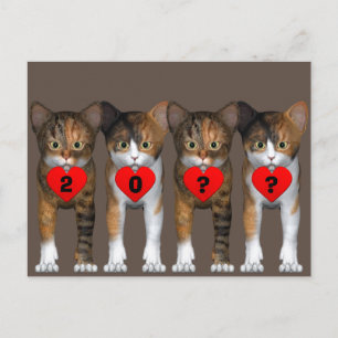 Happy New Year  Calico Kitten Postcard