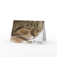 Happy New Year Cat Card
