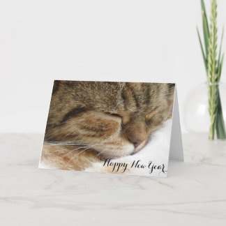 Happy New Year Cat Card