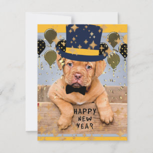 Happy New Year from Dogue de Bordeaux Holiday Card