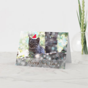Happy New Year Greeting Card, Standard Kitten Holiday Card