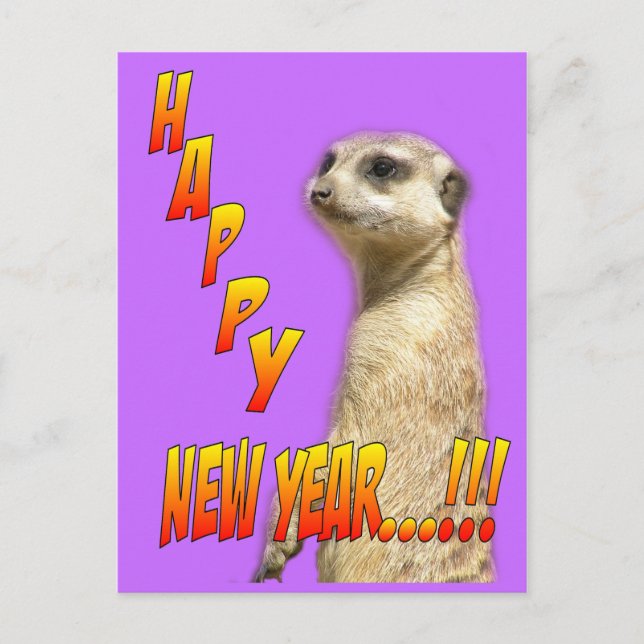 Happy New Year Meerkat Postcard (Front)