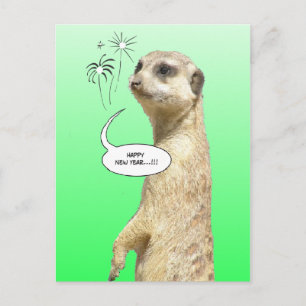 Happy New Year Meerkat Postcard Fireworks Green