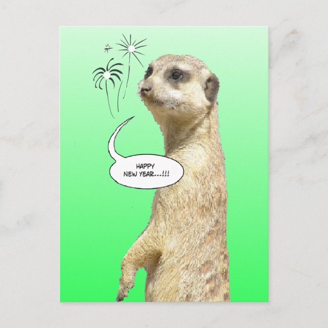 Happy New Year Meerkat Postcard Fireworks Green (Front)