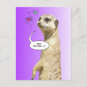 Happy New Year Meerkat Postcard Fireworks Purple