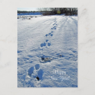 Happy New Year Postcard