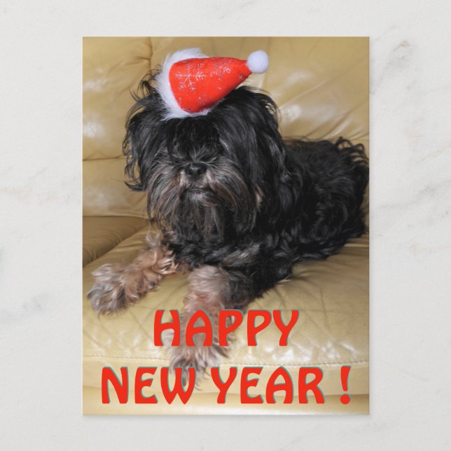 Happy new year !, postcard (Front)