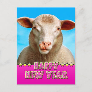 HAPPY NEW YEAR with sheep Lucie Holiday Postcard