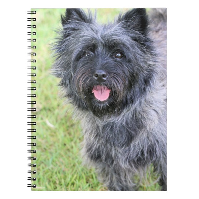 Happy Notebook (Front)