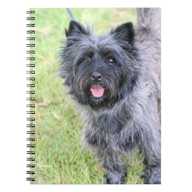 Happy Notebook (Front)