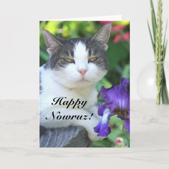 Happy Nowruz Cat in the garden card (Front)