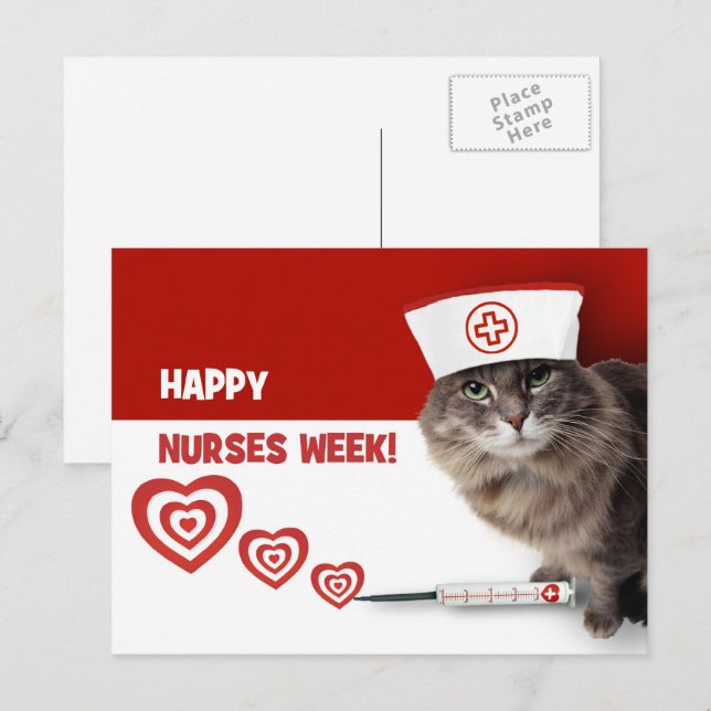 Happy Nurses Week. Funny Kitty  Postcard (Front/Back)