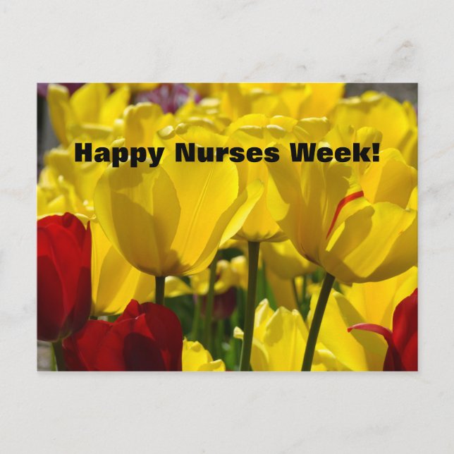 Happy Nurses Week! postcards Tulips Appreciate (Front)