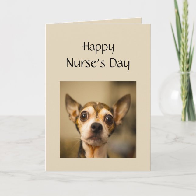 Happy Nurses's Day Being a Nurse can be Scary Fun Card (Front)