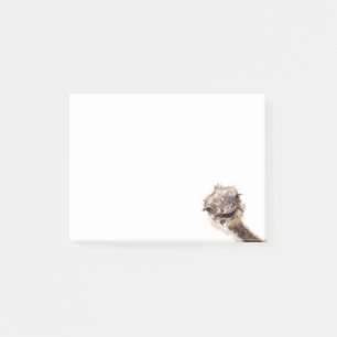Happy Ostrich 2 Post-it Notes
