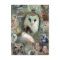 Happy Owls