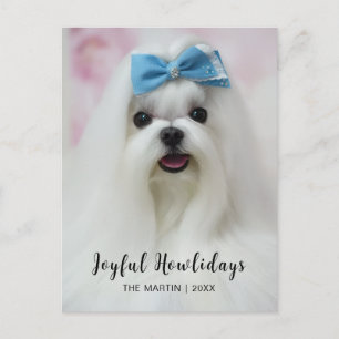 Happy Pawlidays Cute Dog Christmas Holiday Postcard