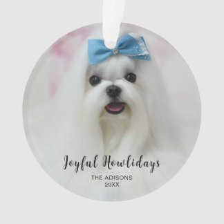Happy Pawlidays Dog Photo Acrylic Ornament Design