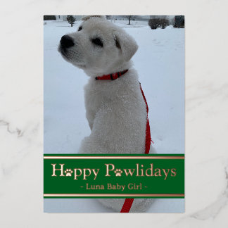Happy Pawlidays Foil Holiday Card