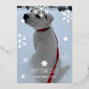 Happy Pawlidays Foil Holiday Card