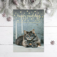 Happy Pawlidays Fun Stars Cat Photo