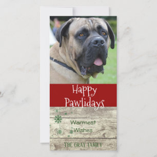Happy Pawlidays   Pet Christmas Greeting Photo Holiday Card