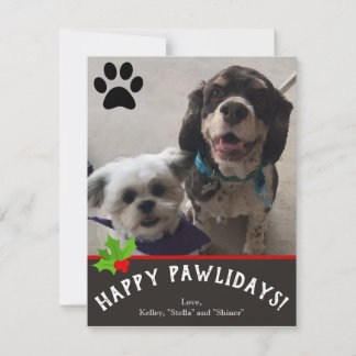 Happy Pawlidays Pet Photo Christmas Card