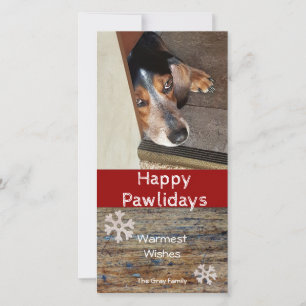 Happy Pawlidays   Pet Photo Christmas Holiday Card