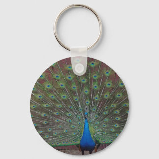 happy peacock keychain