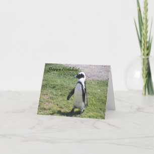 Happy Penguin Birthday card! Card