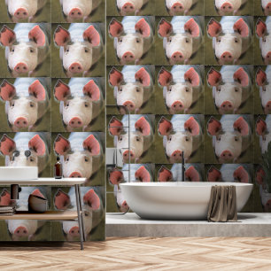 Happy Pig Funny Wallpaper